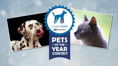 Submit your pet for Tucson Subaru Pets of the Year contest