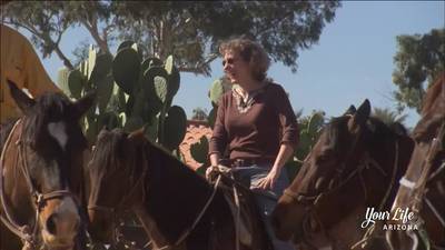 City slickers find their souls at Rancho de los Caballeros in Wickenburg