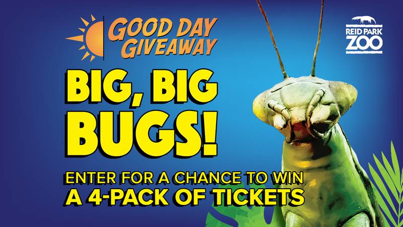 Good Day Giveaway: Big, Big Bugs at Reid Park Zoo