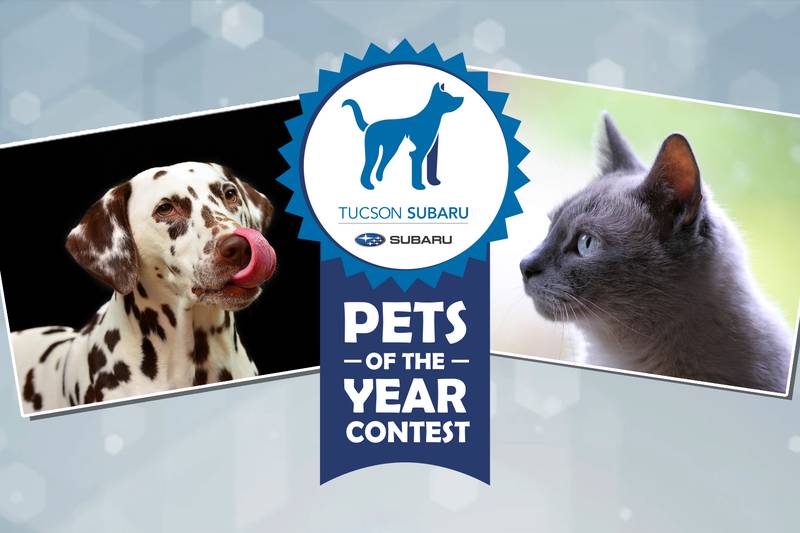 Submit your pet for Tucson Subaru Pets of the Year contest